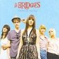 The Bridges CD FREE S&H~ $9.99 ~ Limits of the Sky  w/ MATTHEW SWEET