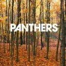 FREE S&H ~ $9.99 ~ Panthers CD Things are Strange VICE RECORDS