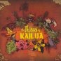 FREE S&H ~ $9.99 ~ Of Montreal 's Jason Holstrom CD The Thieves of Kailau SURF Calypso pop