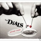 FREE S&H ~ $9.99 ~ The Dials CD Amoeba Amore chick moog power pop