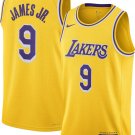 Men & Youth Bronny James jersey  lakers 9  icon  jersey gold