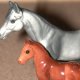 Decorative Collectibles