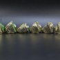 A Set Green Bay Packers Super Bowl Championship Rings 6Pcs With Wooden