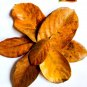 DRIED JACK FRUIT LEAVES ORGANIC BIO FILM SHRIMP FISH AQUARIUM 100% NATURAL  ceylon 100pcs