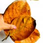 DRIED JACK FRUIT LEAVES ORGANIC BIO FILM SHRIMP FISH AQUARIUM 100% NATURAL  ceylon 100pcs