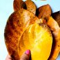 DRIED JACK FRUIT LEAVES ORGANIC BIO FILM SHRIMP FISH AQUARIUM 100% NATURAL  ceylon 100pcs