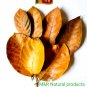 DRIED JACK FRUIT LEAVES ORGANIC BIO FILM SHRIMP FISH AQUARIUM 100% NATURAL  ceylon 100pcs