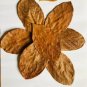 DRIED JACK FRUIT LEAVES ORGANIC BIO FILM SHRIMP FISH AQUARIUM 100% NATURAL  ceylon 100pcs