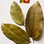 DRIED CINNAMON LEAVES 100% NATURAL PROUDUCT 100PCS