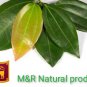 DRIED CINNAMON LEAVES 100% NATURAL PROUDUCT 100PCS