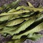 100 | DRIED| MANGO | LEAVES | NATURAL | TEA| FROM CEYLON for a healthy life