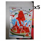 Kabaya - Watermelon Flavor Gummy Candy (50g x 10 bags) Sweets JAPAN