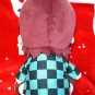 Demon Slayer Kimetsu no Yaiba stuffed toy plush Tanjiro Kamado
