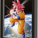 Dragon Ball Z God and God Special Limited Edition (Limited) DVD]