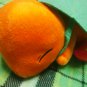 Pokemon Charmander I choose you! Huge stuffed toy from japan