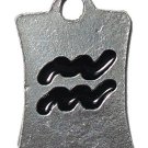 Aquarius Pewter Charm One Each