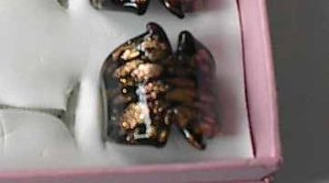 Black Gold  MURANO GLASS RING Size 8