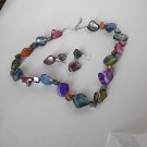 Multi Color Shell NECKLACE SET