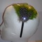 Olive  Dot  Feather With Clear Stone Satin Headband
