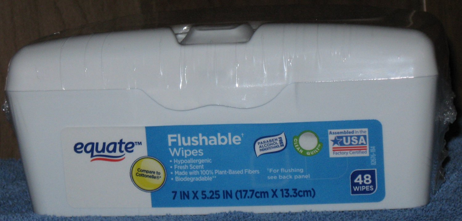 (1 container) 48 Equate Flushable Wipes. Fresh Scent