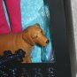 Ava Stars The Star Inside You Veterinary Doll Blonde Hair, Dog & Cat Figure NRFB