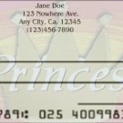 Pretty Princess Checks