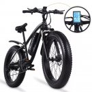 1000W electric fat bike beach electric mountain bike 48v17ah lithium battery