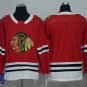 NHL Jersey Red Wing