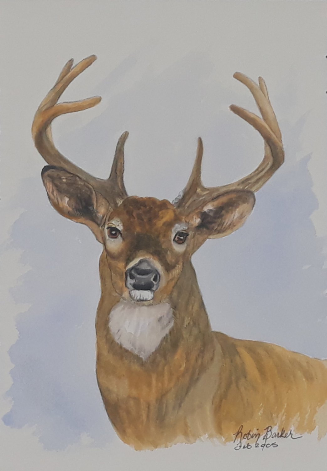 Artwork by Robin Whitetail Buck Original Watercolor Painting 10 x 7 Signed 2005