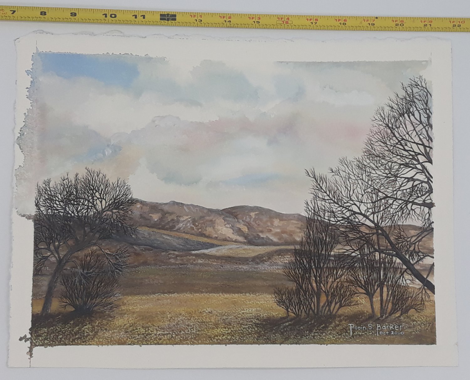 Artwork by Robin Berthoud Foothills Watercolor Painting 12 x 15 Signed 2006