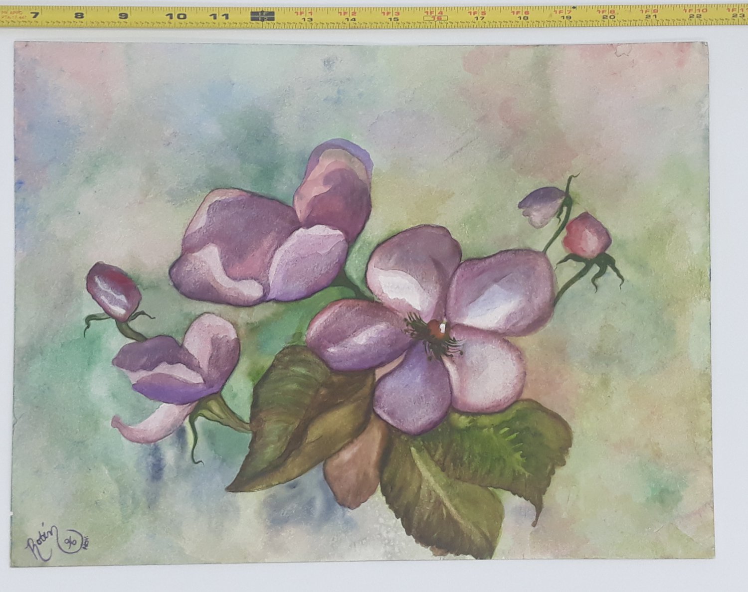 Artwork by Robin Texas Star Original Watercolor Painting 12 x 16 Signed 1996