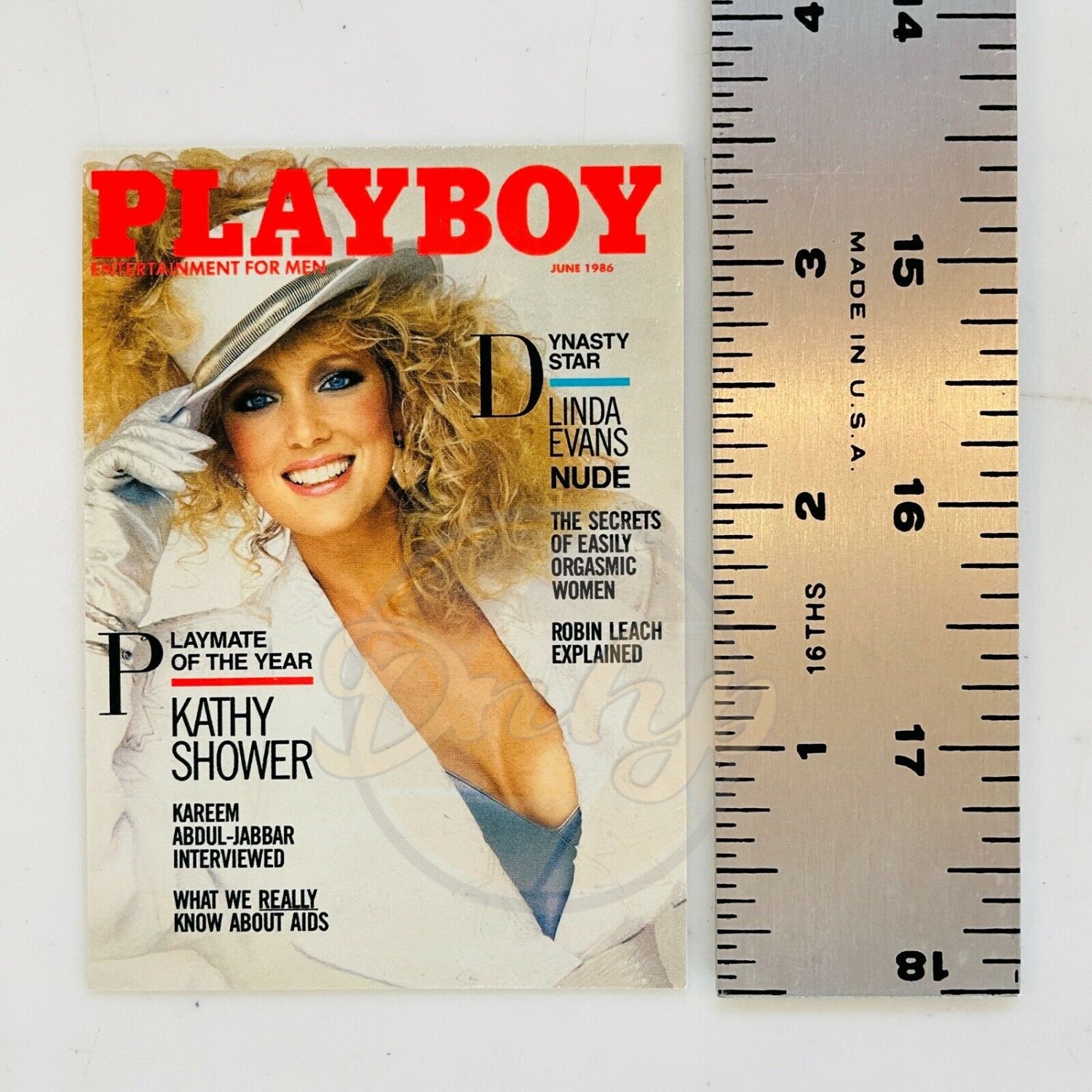 LINDA EVANS Playboy Cover June 1986 Number 97 Trading Card USA 1996
