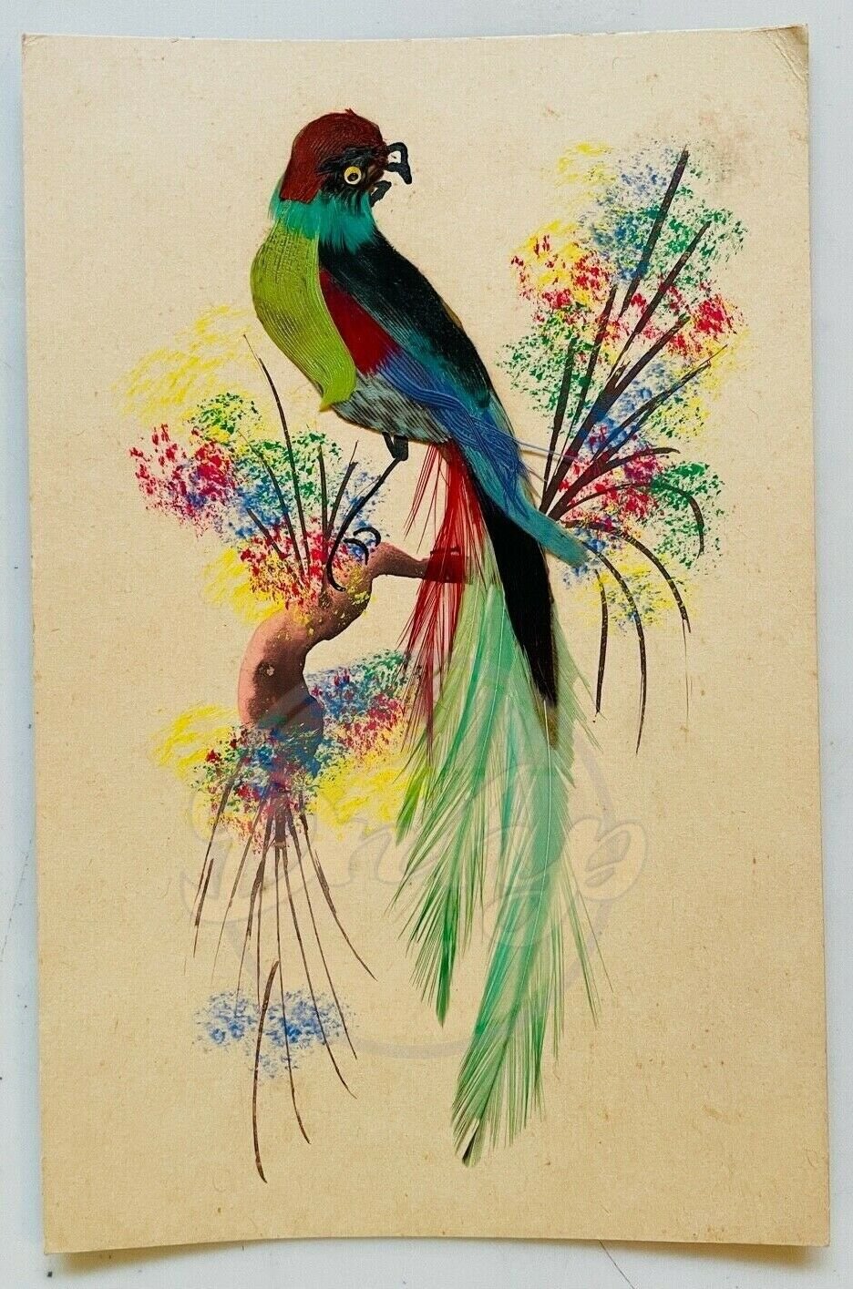 BIRD Feathers Hand Made Painted Postcard Blank Back Vintage