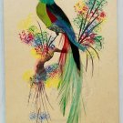 BIRD Feathers Hand Made Painted Postcard Blank Back Vintage