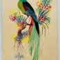 BIRD Feathers Hand Made Painted Postcard Blank Back Vintage