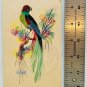 BIRD Feathers Hand Made Painted Postcard Blank Back Vintage