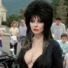 ELVIRA 8x10 (1) Celebrity Model Sexy Movies 079