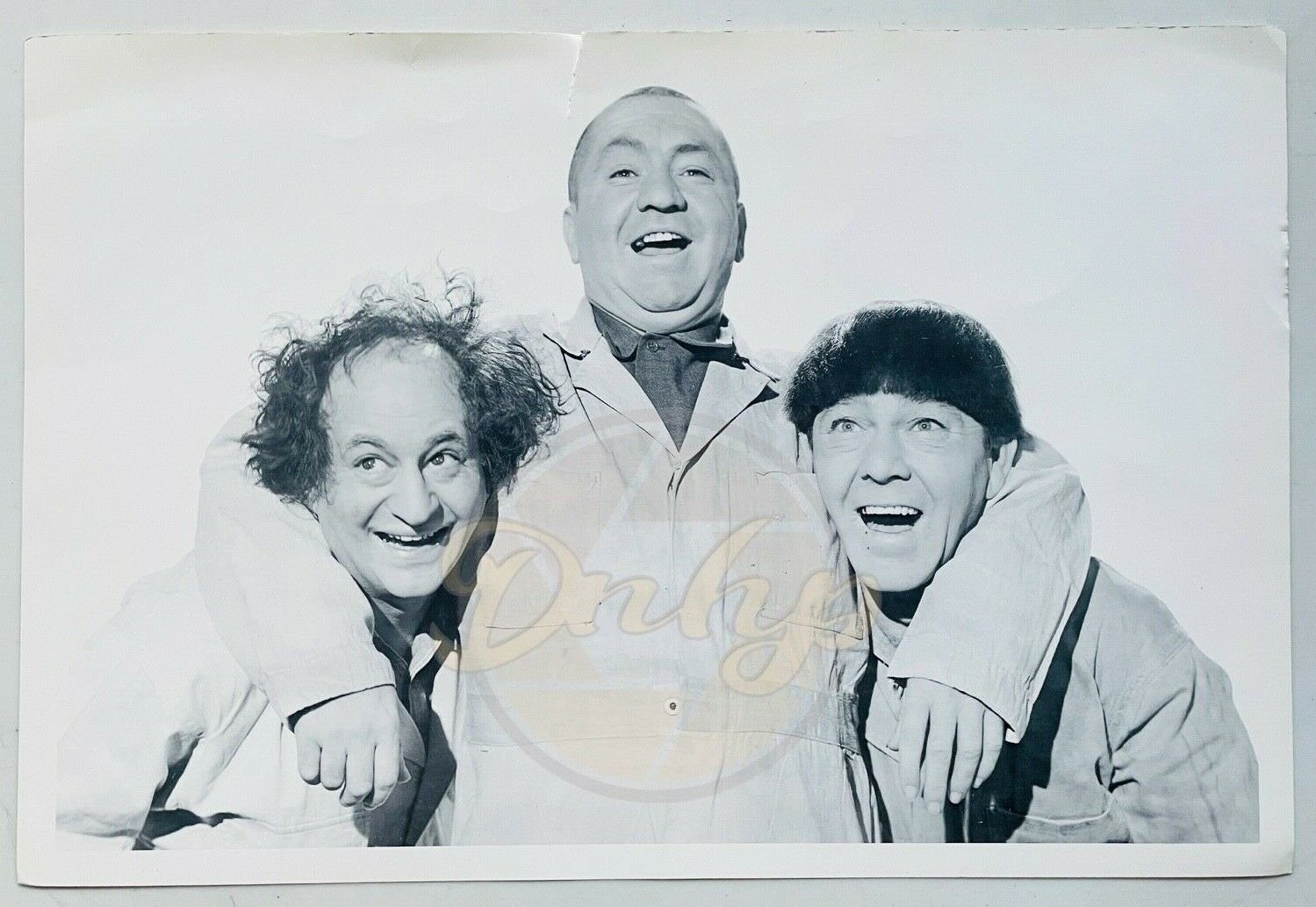 THE THREE STOOGES B&W 12x18 (1) Original Troupe Pals