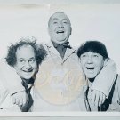 THE THREE STOOGES B&W 12x18 (1) Original Troupe Pals