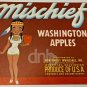 Mischief Washington Apples 10x9 Label Vintage Made USA