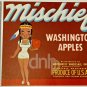 Mischief Washington Apples 10x9 Label Vintage Made USA