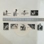 BETTIE PAGE Cavewoman Trading Card Lot (9) 21st Century Archives 1994 USA