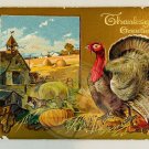 TURKEY FARM Embossed Thanksgiving Greetings Postcard 1908 Posted