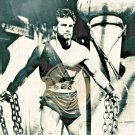 Hercules Steve Reeves 8x10 B&W (1 photo) 1958 Lobby Card Vintage RARE