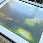 THE DIVING PIG Michael Sowa 26x34 Black Frame White Matte Print 2004