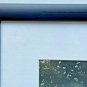THE DIVING PIG Michael Sowa 26x34 Black Frame White Matte Print 2004