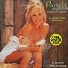 PAMELA ANDERSON Before The Fame 2000 12x12 16 Month Calendar Poster Sealed OOP