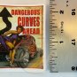 PIN UP GIRLS Dangerous Curves Ahead Hot Rod Sticker (1) Made USA