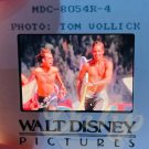 MEET THE DEEDLES Paul Walker Surfboard 2x2 (1 film cell) Walt Disney Mounted