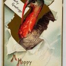 TURKEY Breakthrough Embossed A Happy Thanksgiving Postcard 1909 Posted